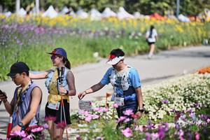 BIB: 
                            <button type="button" onclick="openModal(27794440)" class="btn btn-primary btn-sm float-right btn-popup" data-toggle="modal" data-target=".modal-high-quality">
                        <i class="fas fa-shopping-cart"></i> Add to Cart
                    </button>
                                            <button type="button" onclick="isThisMe(27794440, true)" class="btn btn-success btn-sm float-right btn-popup btn-isme hidden" data-toggle="tooltip" data-placement="bottom" title="นี่คือรูปของคุณใช่ไหม คลิกที่นี่เพื่อเอาเข้าอัลบั้ม">
                        <i class="fas fa-plus"></i> Add to album
                    </button>
                    <button type="button" onclick="isThisMe(27794440, false)" class="btn btn-warning btn-sm float-right btn-popup btn-isnotme hidden">
                        <i class="fas fa-ban"></i> Remove from album
                    </button>